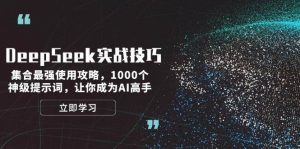 DeepSeek实战技巧:集合最强使用攻略,1000个神级提示词,让你成为AI高手-数智网创