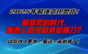 2025年最强变现思路，割韭菜的时代， 普通人如何翻身做镰刀？【揭秘】-数智网创