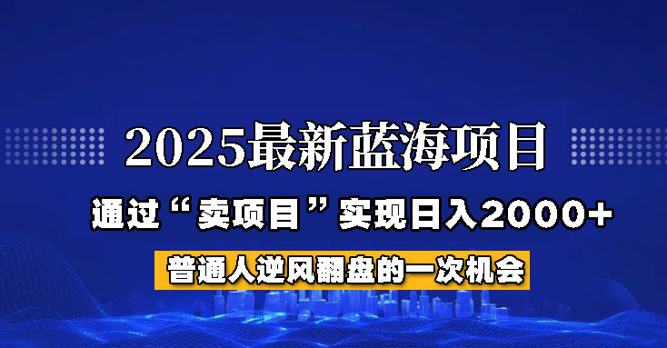 2025年蓝海项目，如何通过“网创项目”日入2000+-数智网创