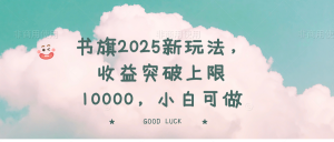 书旗2025新玩法，收益突破上限10000，小白可做-数智网创