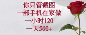 你只管截图，一部手机在家做，一小时120.一天5张【揭秘】-数智网创