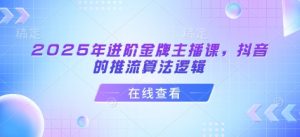 2025年进阶金牌主播课,抖音的推流算法逻辑-数智网创