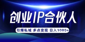 云帆·创业ip合伙人打造3.0，从0到1教你做网创，实现月入过W-数智网创