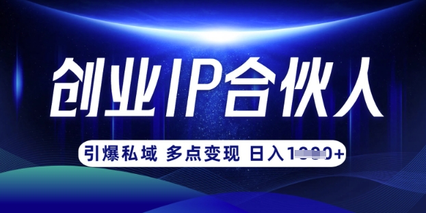 云帆·创业ip合伙人打造3.0，从0到1教你做网创，实现月入过W-数智网创