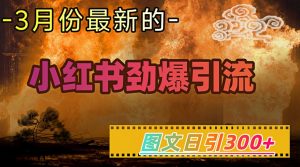 小红书超劲爆引流手段，图文日引300+轻松变现1W-数智网创