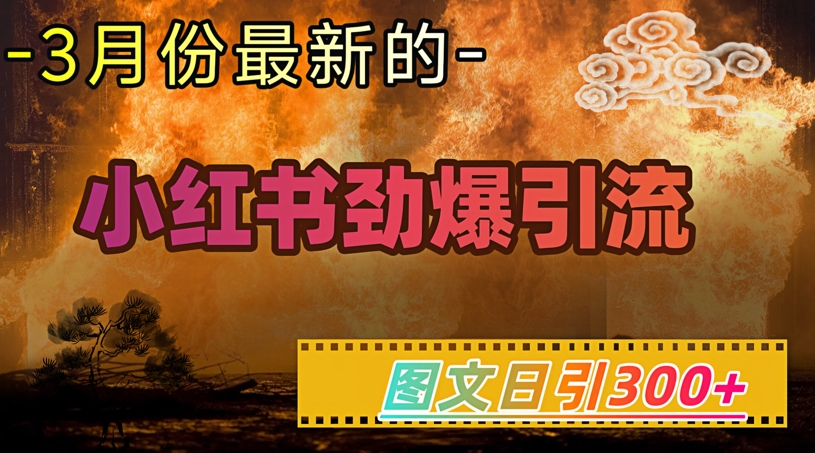 小红书超劲爆引流手段，图文日引300+轻松变现1W-数智网创
