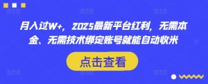 月入过W+，2025最新平台红利，无需本金、无需技术绑定账号就能自动收米-数智网创