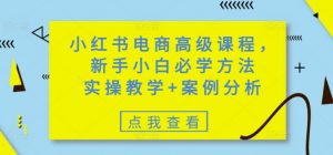 小红书电商高级课程，新手小白必学方法，实操教学+案例分析-数智网创