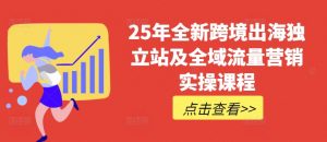 25年全新跨境出海独立站及全域流量营销实操课程，跨境电商独立站TIKTOK全域营销普货特货玩法大全-数智网创