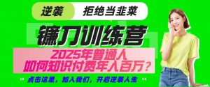 镰刀训练营超级IP合伙人，25年普通人如何通过“知识付费”实现逆袭-数智网创