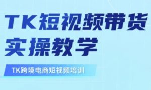 东南亚TikTok短视频带货,TK短视频带货实操教学-数智网创