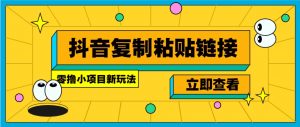 零撸小项目，新玩法，抖音复制链接0.07一条，20秒一条，无限制。-数智网创