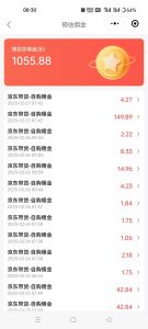 京东达人视频带货速成班，长期饭票，稳定月入3K-数智网创