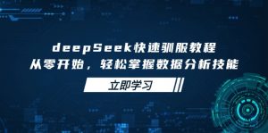 deepSeek快速驯服教程，从零开始，轻松掌握数据分析技能-数智网创