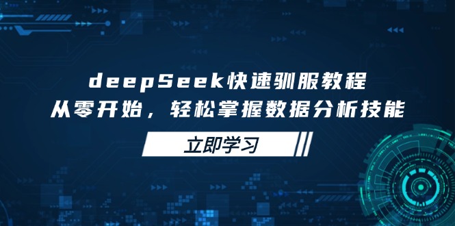 deepSeek快速驯服教程，从零开始，轻松掌握数据分析技能-数智网创