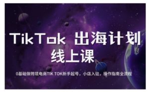 TikTok跨境电商新手起号与运营全攻略,0基础做跨境电商TIKTOK新手起号,小店入驻,操作指南全流程-数智网创