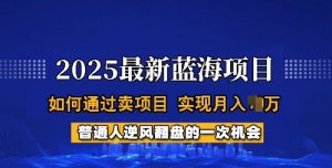2025蓝海项目,普通人如何通过卖项目,实现月入过W,全过程【揭秘】-数智网创