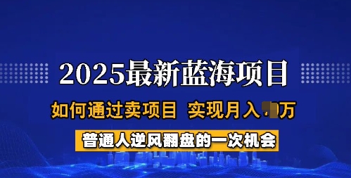 2025蓝海项目,普通人如何通过卖项目,实现月入过W,全过程【揭秘】-数智网创