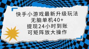 快手小游戏最新版升级玩法，新风口，无脑单机日入40+，可批量放大，小...-数智网创