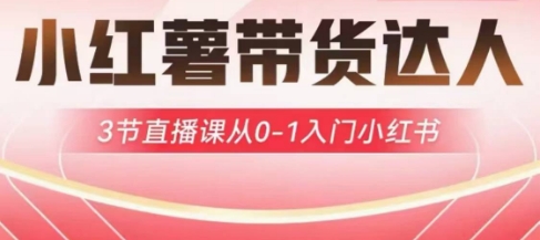 小红薯达人带货启航计划,3节直播课从0-1入门小红书-数智网创