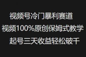 视频号冷门暴利赛道视频100%原创保姆式教学起号三天收益轻松破千-数智网创