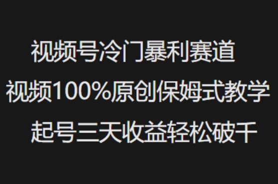 视频号冷门暴利赛道视频100%原创保姆式教学起号三天收益轻松破千-数智网创