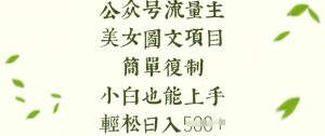 流量主长期收益项目，美女图片简单复制，小白也能上手，轻松日入5张-数智网创