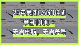 25年最新CSGO挂机系统，单日1000+，无需电脑，无需养号，0基础可上手-数智网创