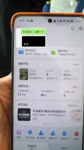 抖音暴力涨粉技术：一天轻松1-10万粉，技术不确定真实性，自测-数智网创