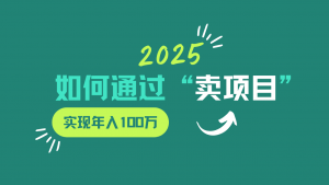 2025年如何通过“卖项目”实现年入100w-数智网创