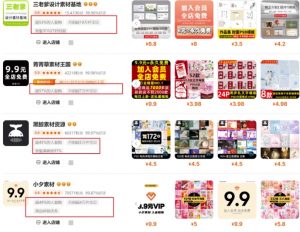 0成本虚拟项目实战手把手教你落地，单店月入5k-数智网创