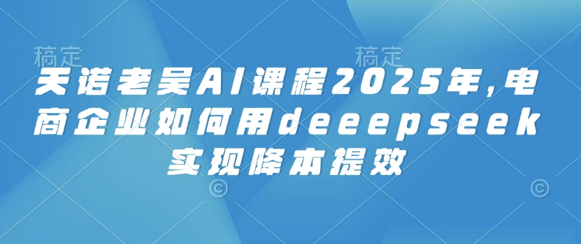 天诺老吴AI课程2025年，电商企业如何用deeepseek实现降本提效-数智网创