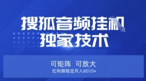 【搜狐音频挂G】独家技术,可矩阵可放大,红利期稳定月入8k【揭秘】-数智网创