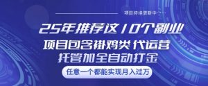 25年推荐这10个副业项目包含褂鸡类、代运营托管类、全自动打金类【揭秘】-数智网创