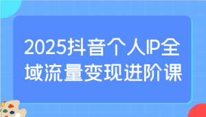 2025抖音个人IP全域流量变现进阶课:选爆品、抖音付费投流、千川投流实操及优化等-数智网创