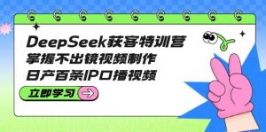 DeepSeek获客特训营:掌握不出镜视频制作,日产百条IP口播视频-数智网创