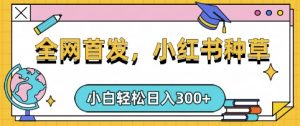 小红书种草，手机项目，日入3张，复制黏贴即可，可矩阵操作，动手不动脑【揭秘】-数智网创