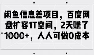 闲鱼信息差项目，百度网盘扩容1T空间，2天收益1k+，人人可做0成本-数智网创