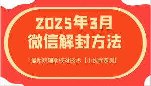 2025年3月微信解封方法 最新跳辅助核对技术【小伙伴亲测】-数智网创