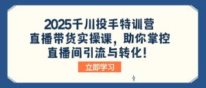 2025千川投手特训营：直播带货实操课，助你掌控直播间引流与转化！-数智网创