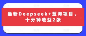 最新Deepseek+蓝海项目，十分钟收益2张-数智网创