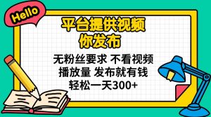 平台提供视频 你发布 无粉丝要求 不看视频播放量 发布就有钱 轻松一天300+-数智网创