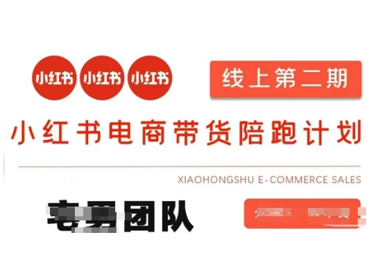 小红书电商带货课2期,月利润20个的小红书电商的有货源,无货源,虚拟产品,付费投流等整套玩法-数智网创