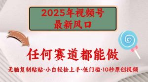 2025年视频号新风口,低门槛只需要无脑执行-数智网创