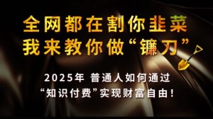 全网都在割你韭菜,我来教你做镰刀,2025普通人如何通过知识付费,实现财F自由【揭秘】-数智网创