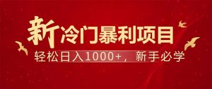 项目名称:每天一小时,轻松到手1000,冷门赚钱项目!-数智网创