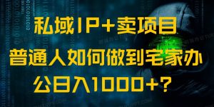 私域IP+卖项目，普通人如何做到宅家办公实现日入1000+-数智网创