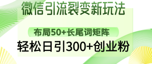 微信引流裂变新玩法:布局50+长尾词矩阵,轻松日引300+创业粉-数智网创