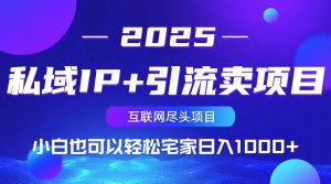 私域IP+引流卖项目，小白也可以做到轻松宅家日入1000+-数智网创