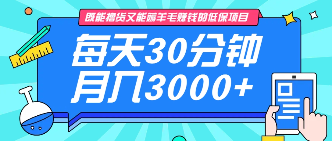既能撸货又能赚钱的长期低保项目，每天30分钟，多号百分百稳定月入3000+！-数智网创